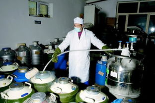 天山生物 國內(nèi)領(lǐng)先的畜牧遺傳物質(zhì)產(chǎn)品及技術(shù)服務(wù)提供商